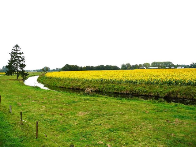 bilderforum l 033